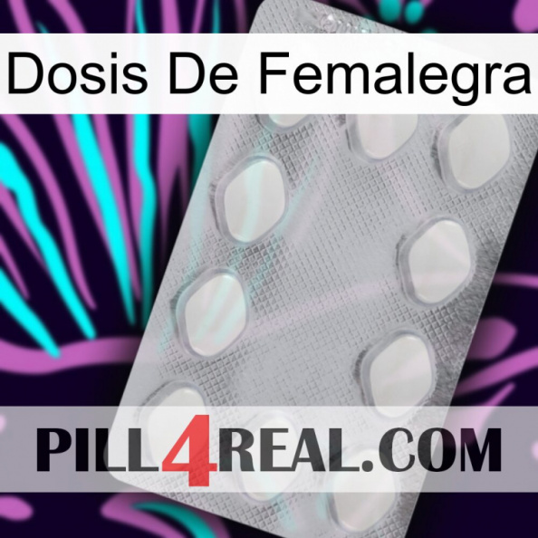 Femalegra Dosage 16.jpg